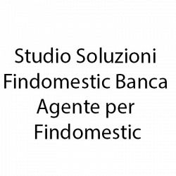 Studio Soluzioni - Findomestic Banca - Agente per Findomestic logo