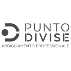 Punto Divise logo