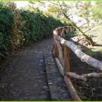 Foto Gallery importata da Gaudi