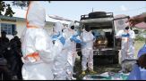 Ebola, volontari Croce Rossa seppelliscono morti: veniamo attaccati
