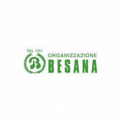Organizzazione Besana Pompe Funebri logo