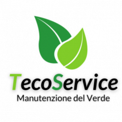 Teco Service logo