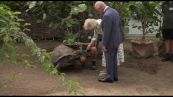 Carlo e Camilla allo zoo di Londra: dalla tartaruga Polly ai pinguini