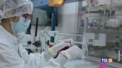 Un chip nella testa E' la sfida di Musk