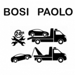 Bosi Paolo logo