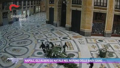 Napoli, gli alberi di Natale nel mirino delle baby gang