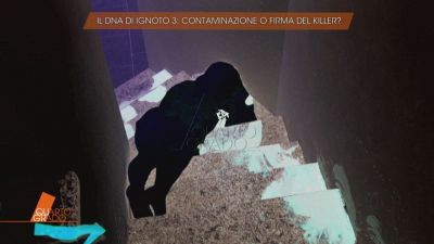 Il giallo di Garlasco: il DNA di Ignoto 3