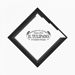 Fiori e Piante Il Tulipano Bomboniere logo