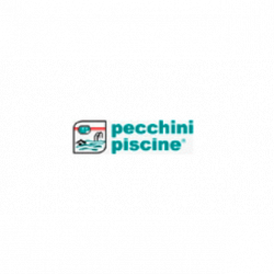 Pecchini Piscine logo