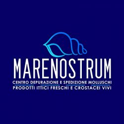 Ittica Marenostrum logo