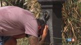 Settimana bollente, l'inferno dei rider
