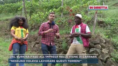 Dal Burkina Faso all'impresa nella vigne di Carrara