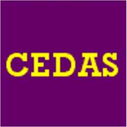 Cedas Organizzazione Aziendale Srl logo