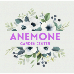 Anemone Garden Center