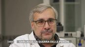 Garlasco, la guerra delle perizie - Parla il consulente della famiglia Poggi