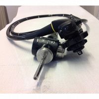 PAPPAGALLO DR. MAURO DONATO Foto Web 3