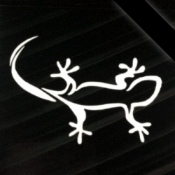 Officina GekoCar Riparazione Auto, Wrapping, Elettrauto, Gommista e Carrozzeria logo