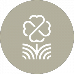 L'Angolo dei Fiori - Addobbi Chiese per Matrimoni - Onoranze Funebri Brogna logo