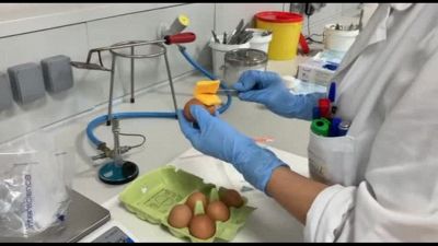 Salute, il ruolo chiave della Rete degli Istituti Zooprofilattici
