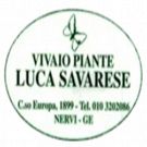 Vivaio Savarese Luca