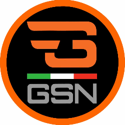 Gsnetwork Vicenza logo