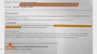 Il giallo della piccola Giulia Loffredo: sbranata dal pitbull?