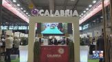 Calabria, enogastronomia e bellezza