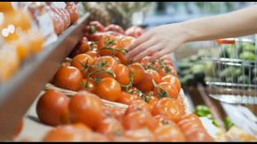 Agroalimentare, fattori Esg sempre più elemento di competitività