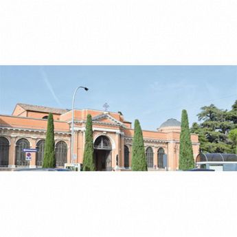 Onoranze Funebri Ridolfi Meldola Forlì Pratiche Cimiteriali