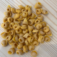 L'Arte della Pasta Bologna Pasta Fresca