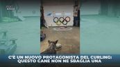 Nuovo atleta di curling