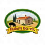 Fattoria Borrello