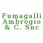Fumagalli Ambrogio & C.