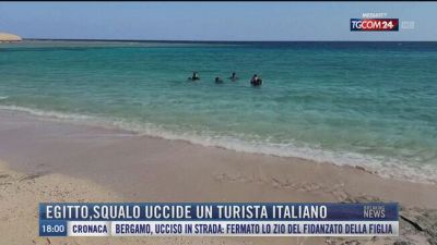 Breaking News delle 18.00 | Egitto, squalo uccide un turista italiano