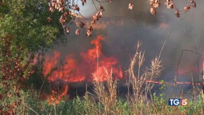 Ondata di caldo e l'Italia brucia