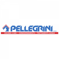 Pellegrini logo