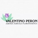 Valentino Peron