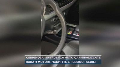 Cerignola, emergenza auto cannibalizzate
