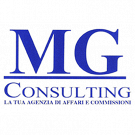 Mg Consulting Agenzia Affari e Commissioni