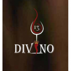 Divino 13 logo
