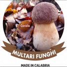 Multari Funghi