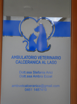 ambulatorio veterinario calceranica al lago