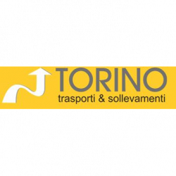 Torino Trasporti srl logo