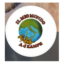 Il Mio Mondo a 4 Zampe logo