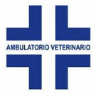 Ambulatorio  Veterinario  Dott.  Francesco Orsi