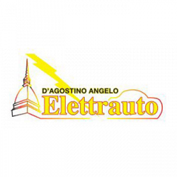 Elettrauto D'Agostino Angelo logo