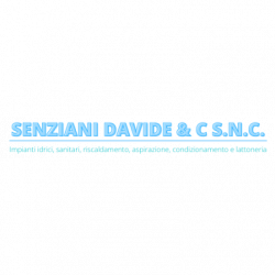 Senziani Davide e C logo
