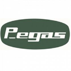 Pegas Srl logo