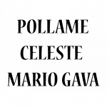 Pollame Celeste Mario Gava