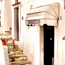 Tabaccheria Pecchia logo